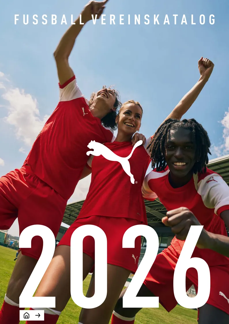 Puma Teamsport